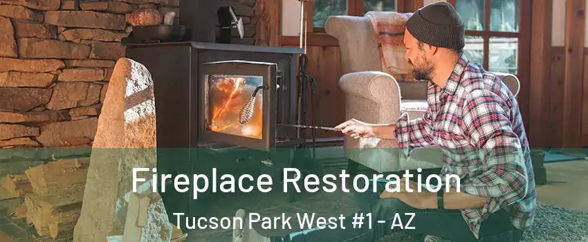 Fireplace Restoration Tucson Park West #1 - AZ