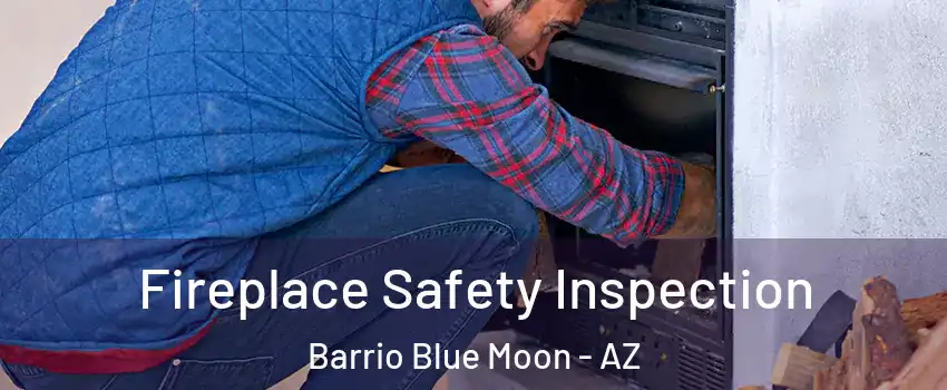 Fireplace Safety Inspection Barrio Blue Moon - AZ