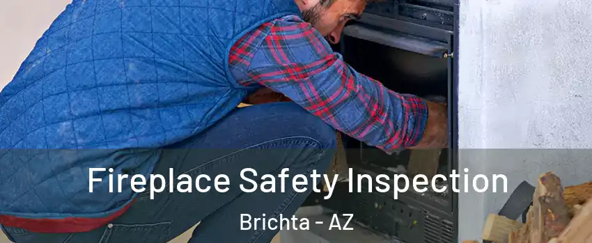Fireplace Safety Inspection Brichta - AZ