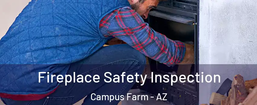 Fireplace Safety Inspection Campus Farm - AZ