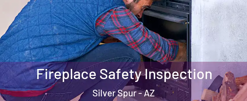 Fireplace Safety Inspection Silver Spur - AZ