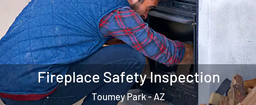 Fireplace Safety Inspection Toumey Park - AZ