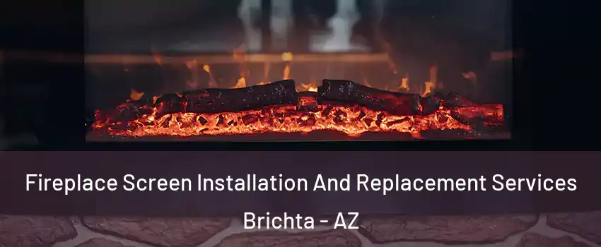 Fireplace Screen Installation And Replacement Services Brichta - AZ