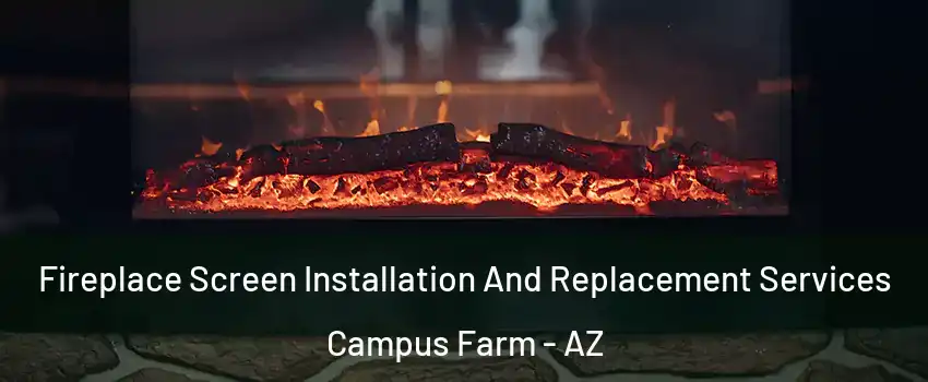 Fireplace Screen Installation And Replacement Services Campus Farm - AZ