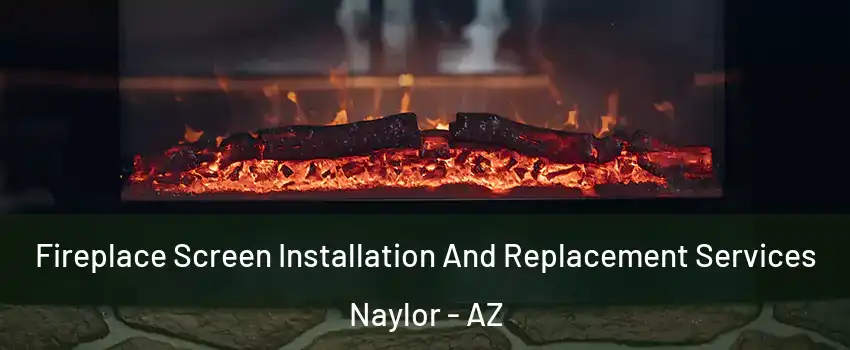 Fireplace Screen Installation And Replacement Services Naylor - AZ