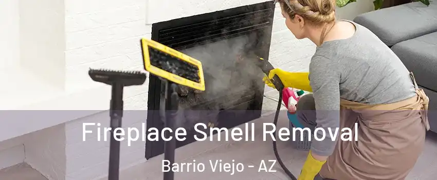 Fireplace Smell Removal Barrio Viejo - AZ