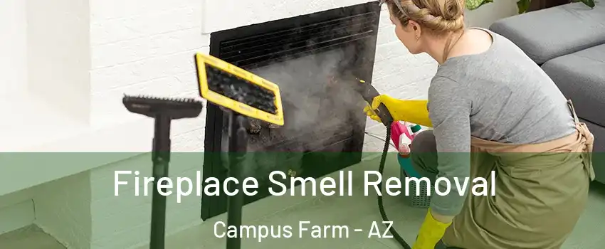 Fireplace Smell Removal Campus Farm - AZ