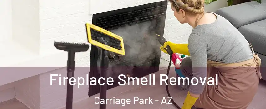 Fireplace Smell Removal Carriage Park - AZ