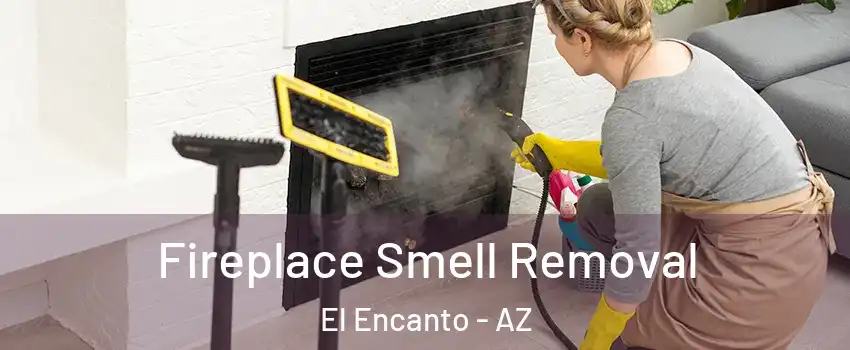 Fireplace Smell Removal El Encanto - AZ