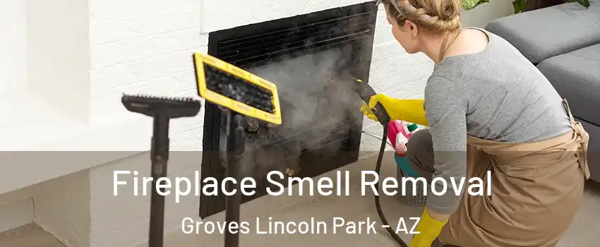 Fireplace Smell Removal Groves Lincoln Park - AZ