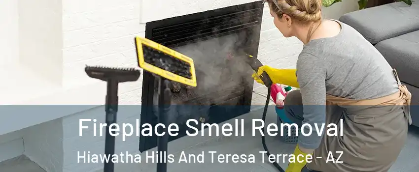 Fireplace Smell Removal Hiawatha Hills And Teresa Terrace - AZ