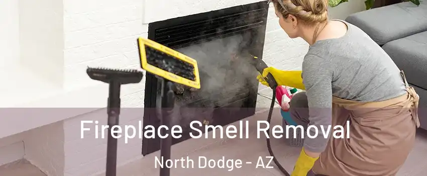 Fireplace Smell Removal North Dodge - AZ