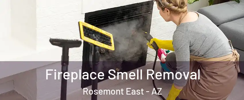 Fireplace Smell Removal Rosemont East - AZ