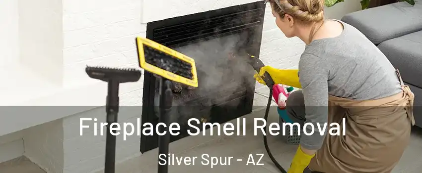 Fireplace Smell Removal Silver Spur - AZ