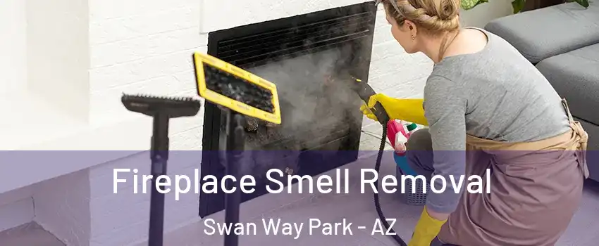 Fireplace Smell Removal Swan Way Park - AZ