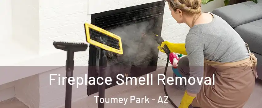 Fireplace Smell Removal Toumey Park - AZ