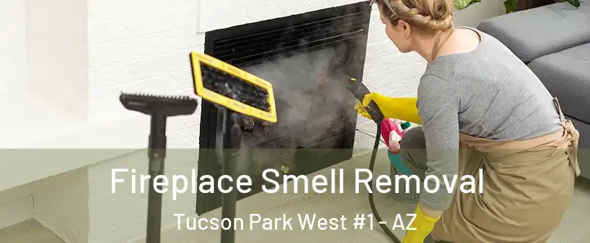 Fireplace Smell Removal Tucson Park West #1 - AZ
