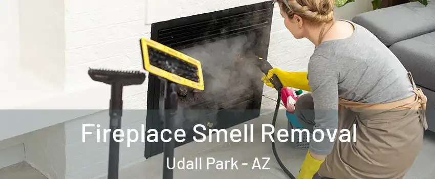 Fireplace Smell Removal Udall Park - AZ