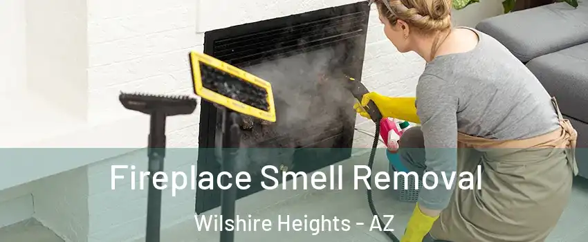 Fireplace Smell Removal Wilshire Heights - AZ
