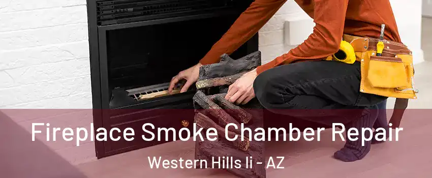 Fireplace Smoke Chamber Repair Western Hills Ii - AZ