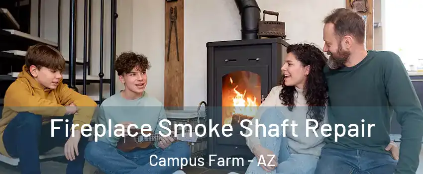 Fireplace Smoke Shaft Repair Campus Farm - AZ