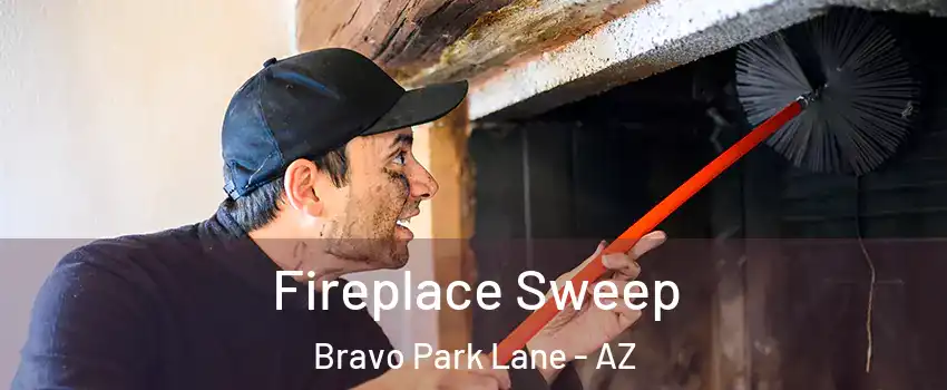 Fireplace Sweep Bravo Park Lane - AZ