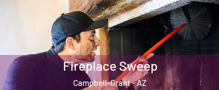 Fireplace Sweep Campbell-Grant - AZ