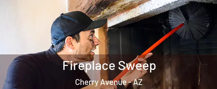 Fireplace Sweep Cherry Avenue - AZ