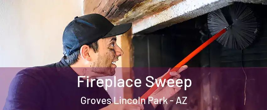 Fireplace Sweep Groves Lincoln Park - AZ
