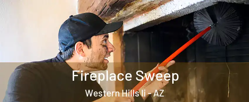 Fireplace Sweep Western Hills Ii - AZ