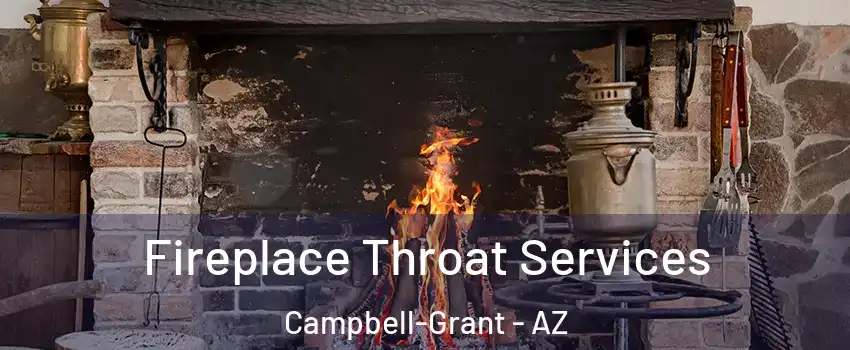 Fireplace Throat Services Campbell-Grant - AZ
