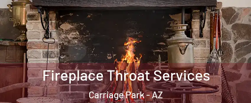 Fireplace Throat Services Carriage Park - AZ