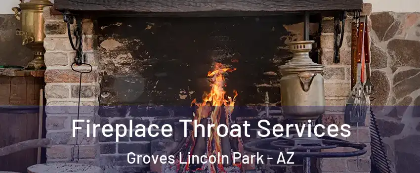 Fireplace Throat Services Groves Lincoln Park - AZ