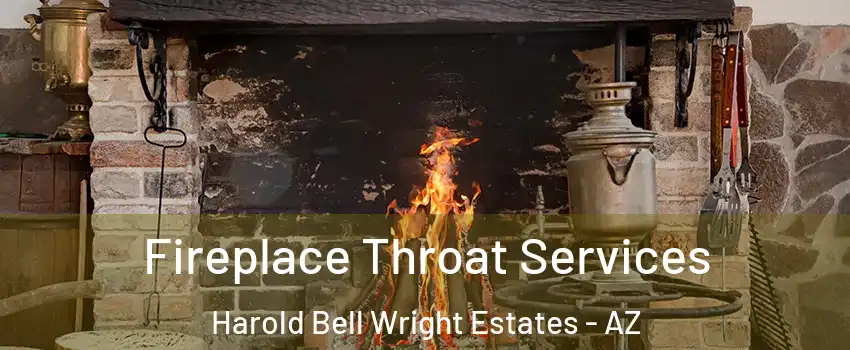 Fireplace Throat Services Harold Bell Wright Estates - AZ