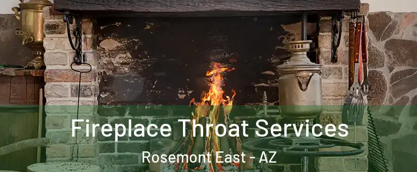 Fireplace Throat Services Rosemont East - AZ