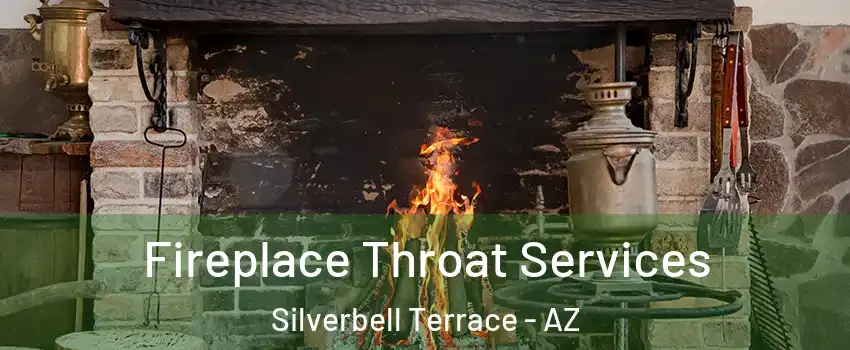 Fireplace Throat Services Silverbell Terrace - AZ