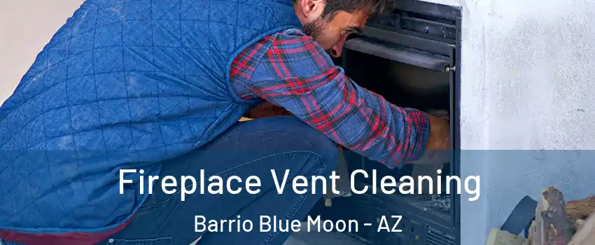Fireplace Vent Cleaning Barrio Blue Moon - AZ