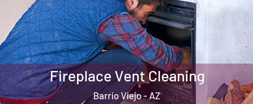 Fireplace Vent Cleaning Barrio Viejo - AZ