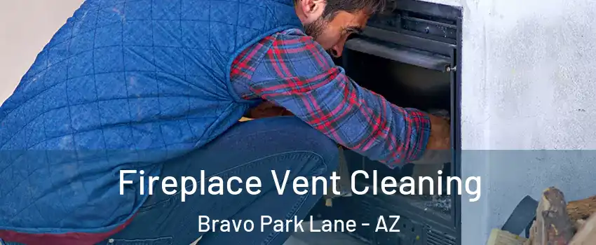 Fireplace Vent Cleaning Bravo Park Lane - AZ