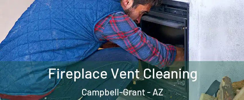 Fireplace Vent Cleaning Campbell-Grant - AZ