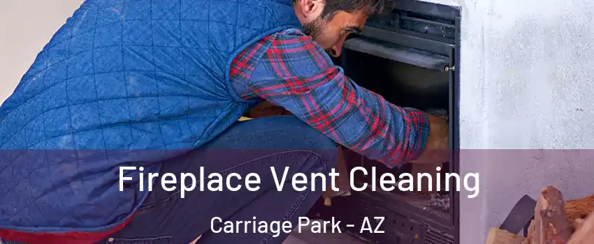 Fireplace Vent Cleaning Carriage Park - AZ