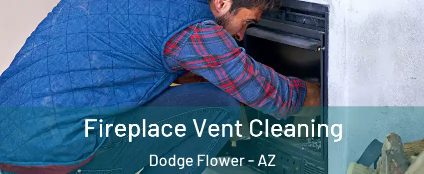 Fireplace Vent Cleaning Dodge Flower - AZ