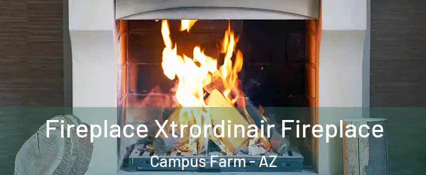 Fireplace Xtrordinair Fireplace Campus Farm - AZ