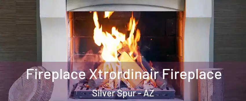 Fireplace Xtrordinair Fireplace Silver Spur - AZ