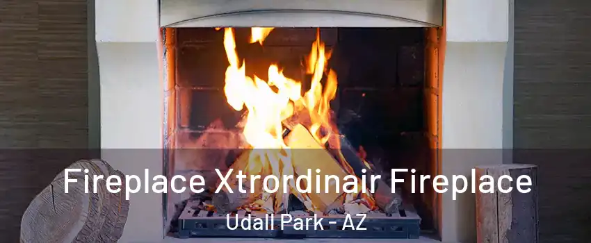 Fireplace Xtrordinair Fireplace Udall Park - AZ
