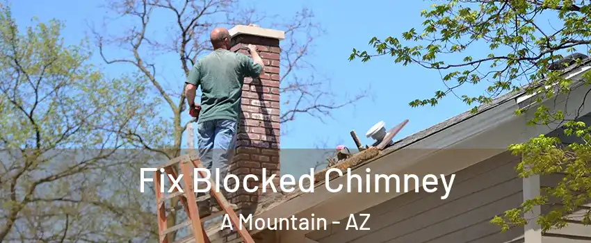 Fix Blocked Chimney A Mountain - AZ