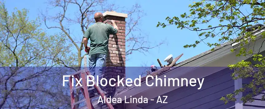 Fix Blocked Chimney Aldea Linda - AZ