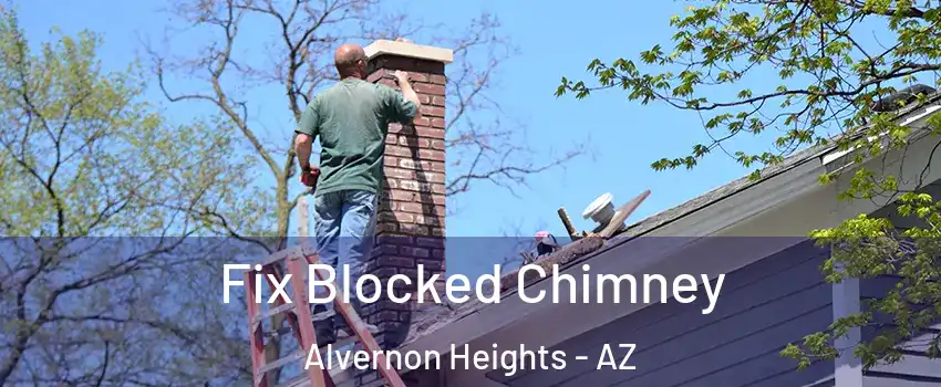Fix Blocked Chimney Alvernon Heights - AZ