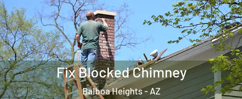 Fix Blocked Chimney Balboa Heights - AZ