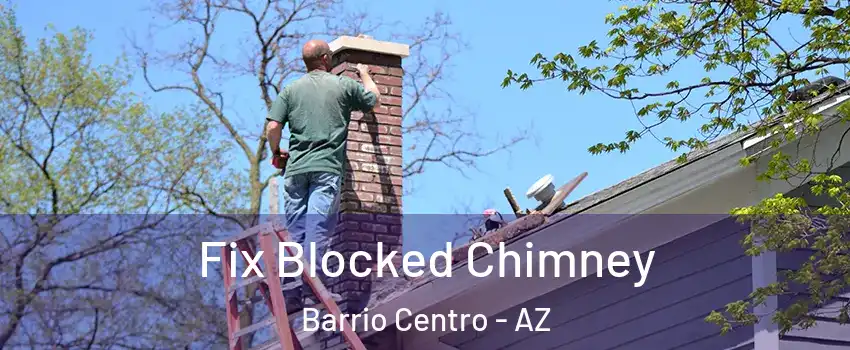 Fix Blocked Chimney Barrio Centro - AZ